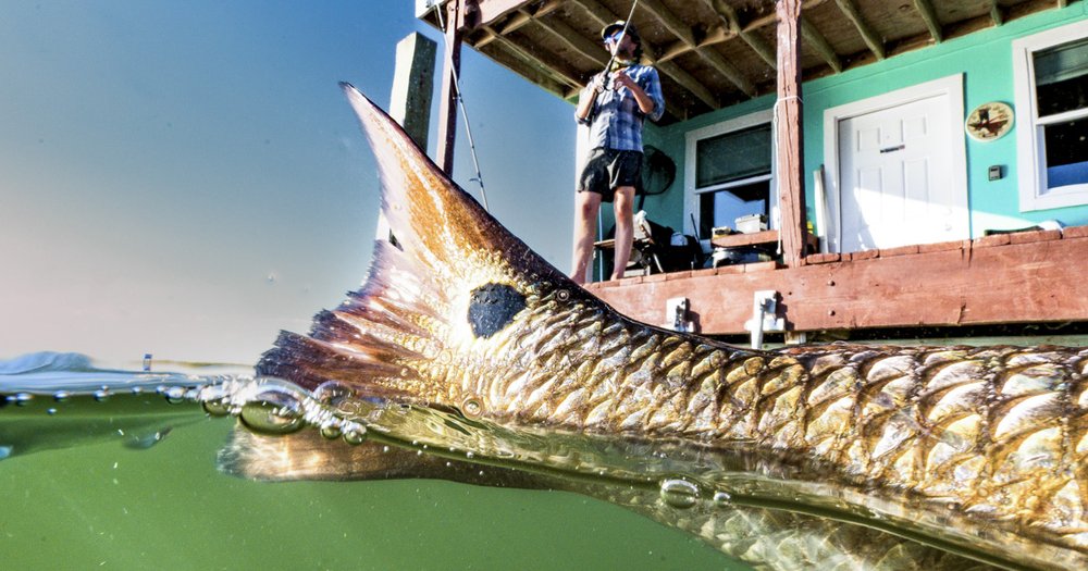 The tail of a fish in the foreground with a person fishing from the deck of a floating cabin.