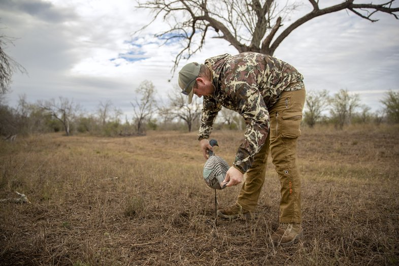 A man in camouflage placing a turkey decoy.