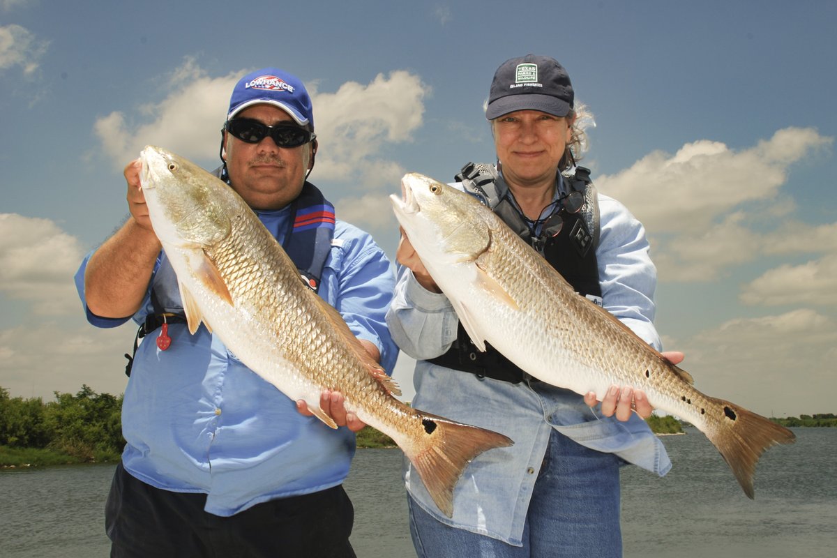 Two people holding up large fish that they caught.