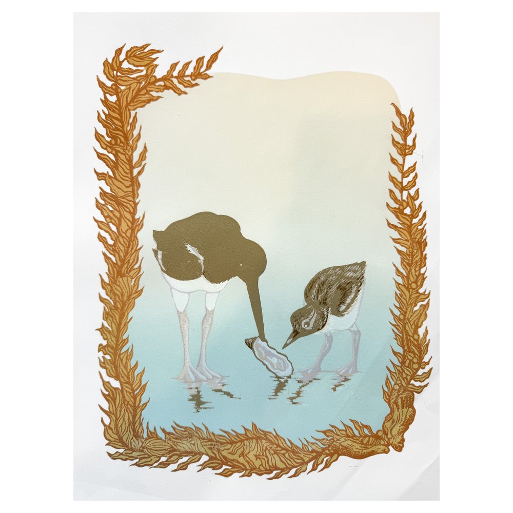 Print of two oystercatchers.