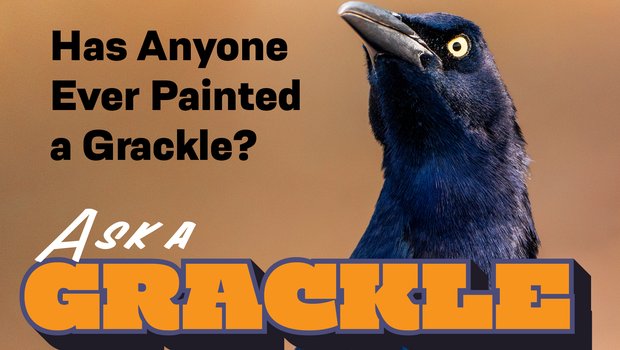 Graphic for Ask a Grackle with the question "Has anyone ever painted a grackle?"