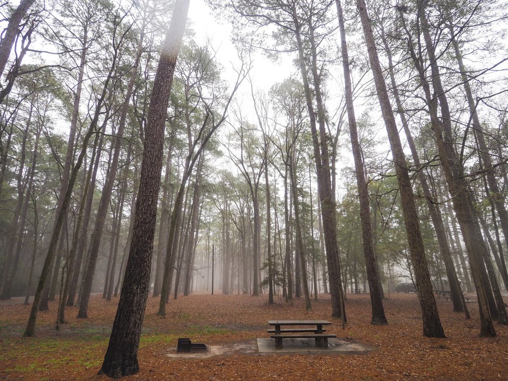 Trees surround view of campsites on Hen House Ridge