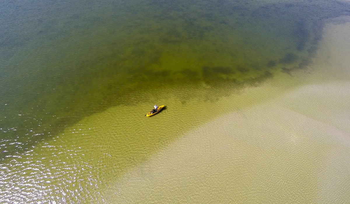 Aerial shot of kayak in Laguna Madre