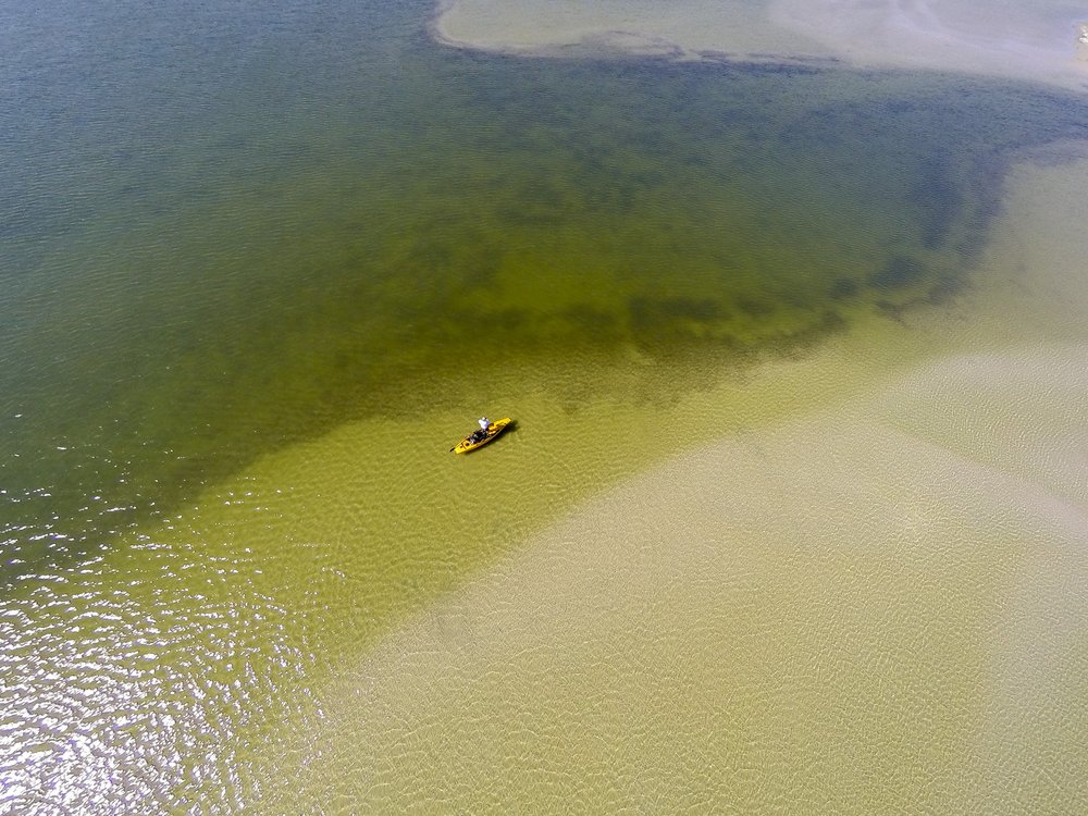 Aerial shot of kayak in Laguna Madre