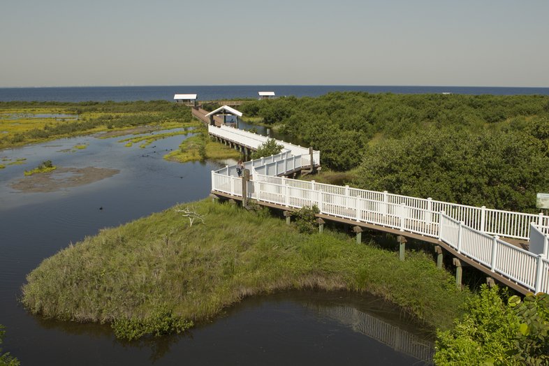 Pedestrian bridge over lush lagoon