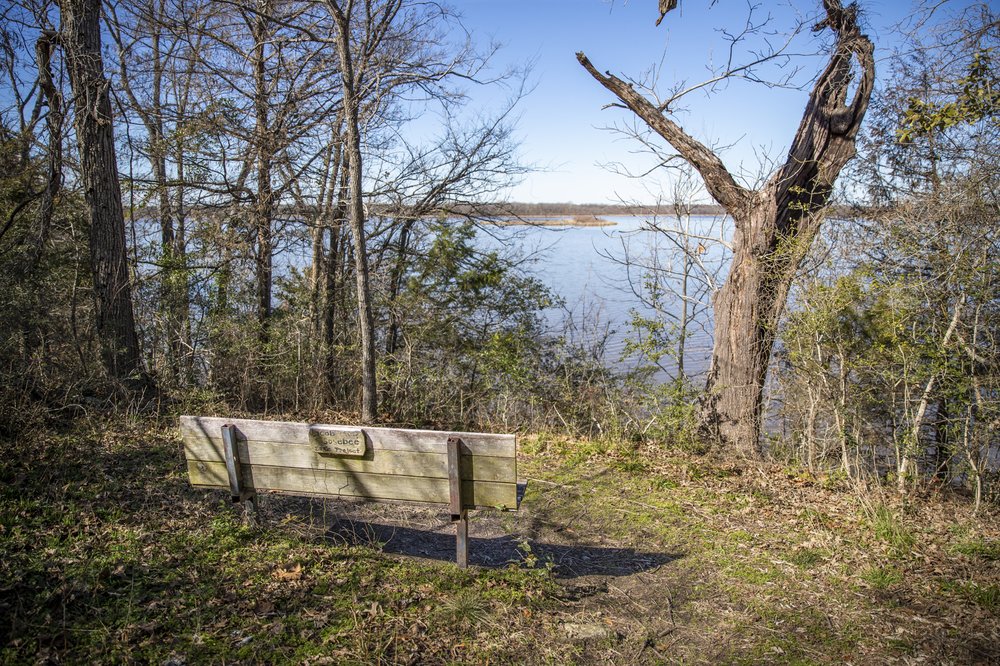 A view of a river with a bench