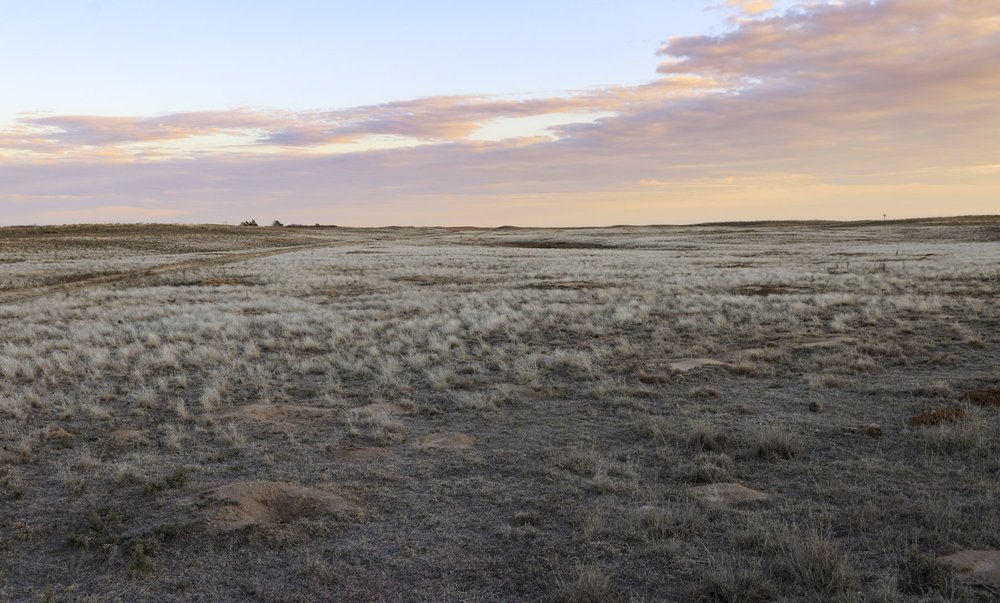 0425_BC-GeneHowe_PrairieDogsHoles_GeneHowe 5D5A0003_EvaFrederickTPWD