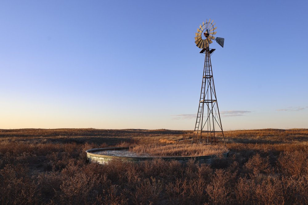 0425_BC-GeneHowe_Windmill_5D5A0021-2_EvaFrederickTPWD