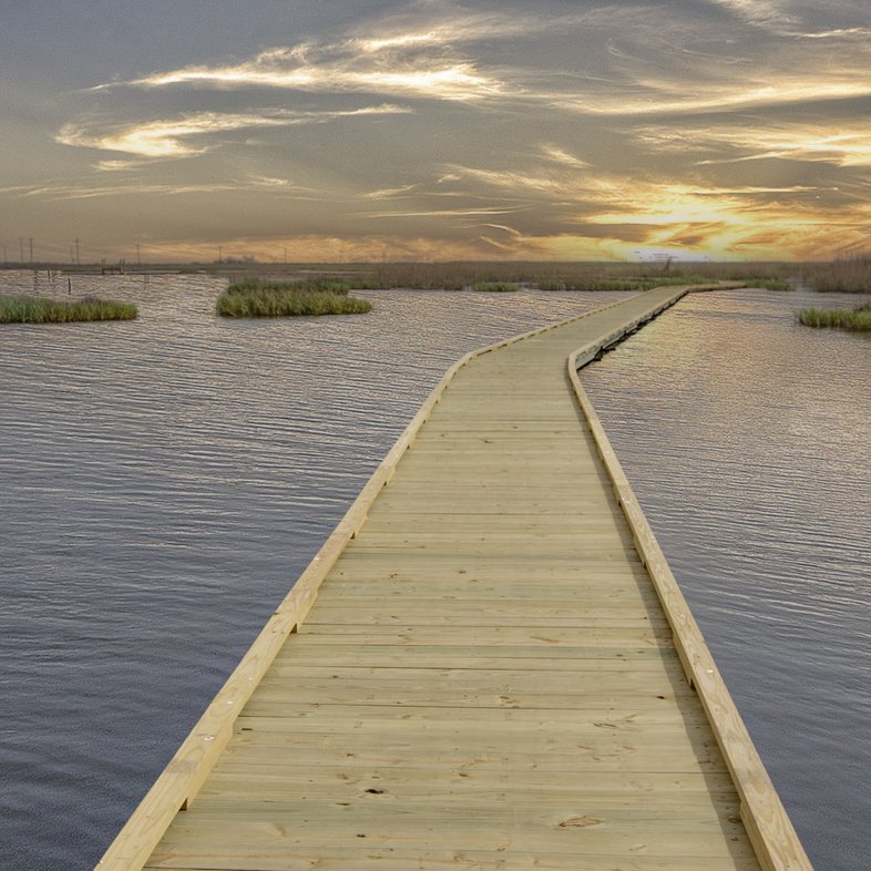 0425_F-Accessibility_Gambuisa_SeaRim_MG_2125-Edit-44_SonjaSommerfeldTPWD