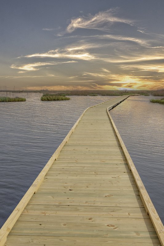 0425_F-Accessibility_Gambuisa_SeaRim_MG_2125-Edit-44_SonjaSommerfeldTPWD