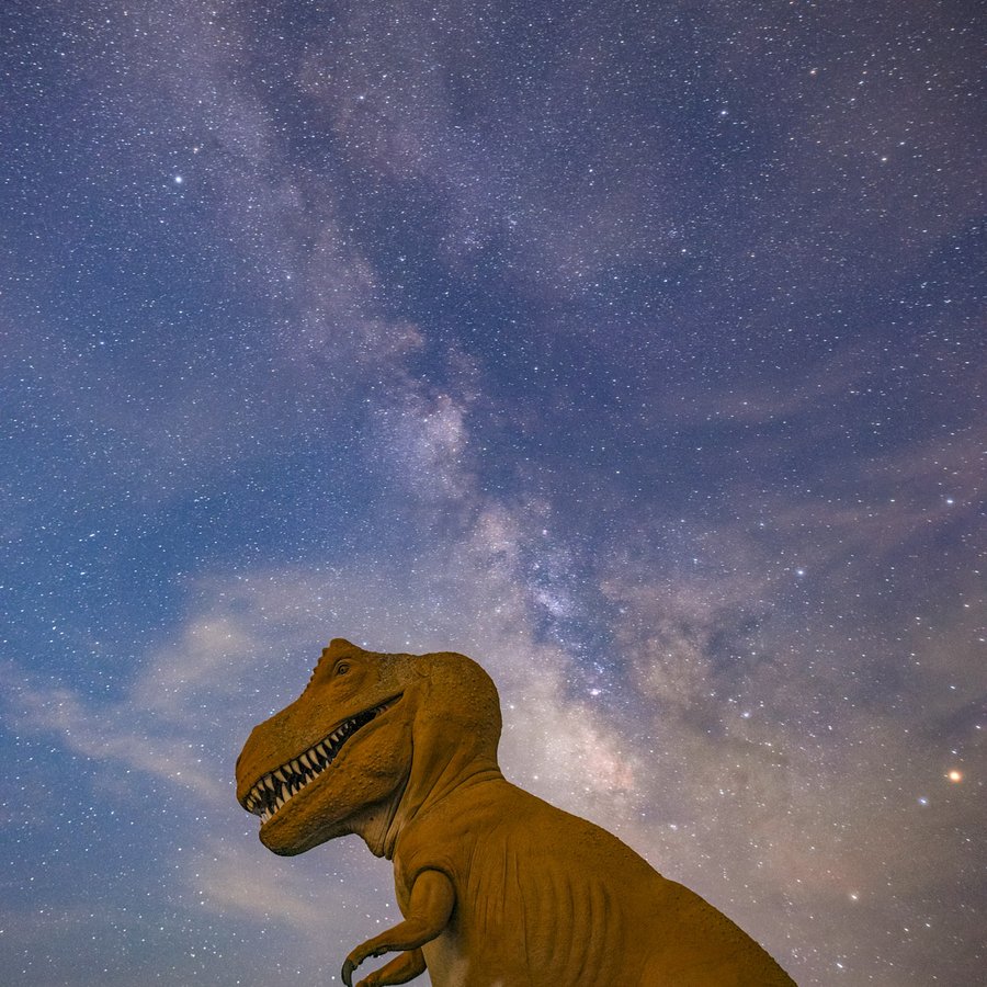 0425_F-PhotoEssay_Dinosaur Valley State Park Milky Way_AlisonTakacs