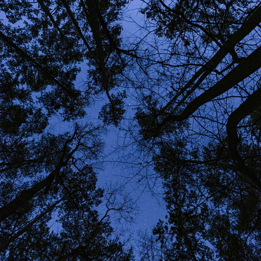 0425_F-PhotoEssay_Huntsville_Night sky KAC 0023-2_KathyAdamsClark