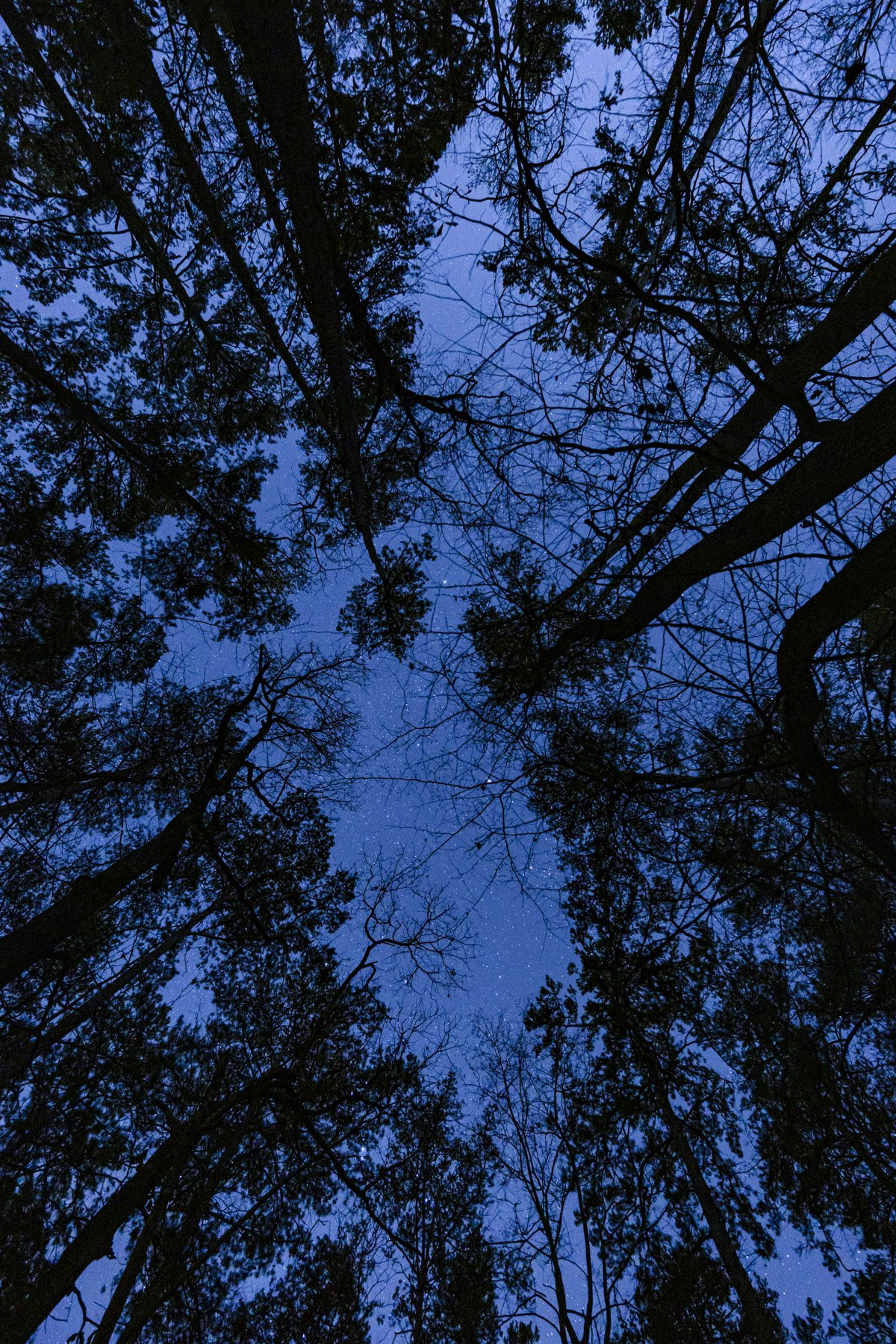 0425_F-PhotoEssay_Huntsville_Night sky KAC 0023-2_KathyAdamsClark
