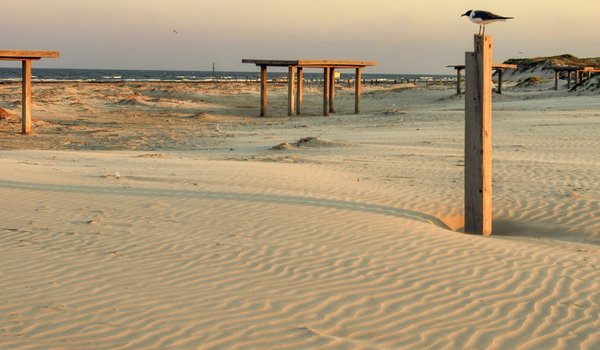 0425_Texect-STXGeology_Mustang Island_3535_ChaseFountainTPWD