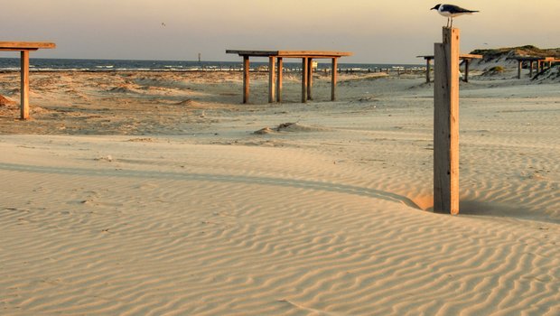 0425_Texect-STXGeology_Mustang Island_3535_ChaseFountainTPWD