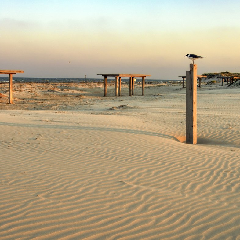 0425_Texect-STXGeology_Mustang Island_3535_ChaseFountainTPWD