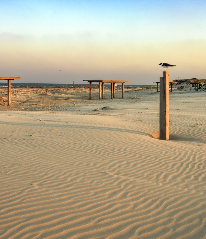 0425_Texect-STXGeology_Mustang Island_3535_ChaseFountainTPWD