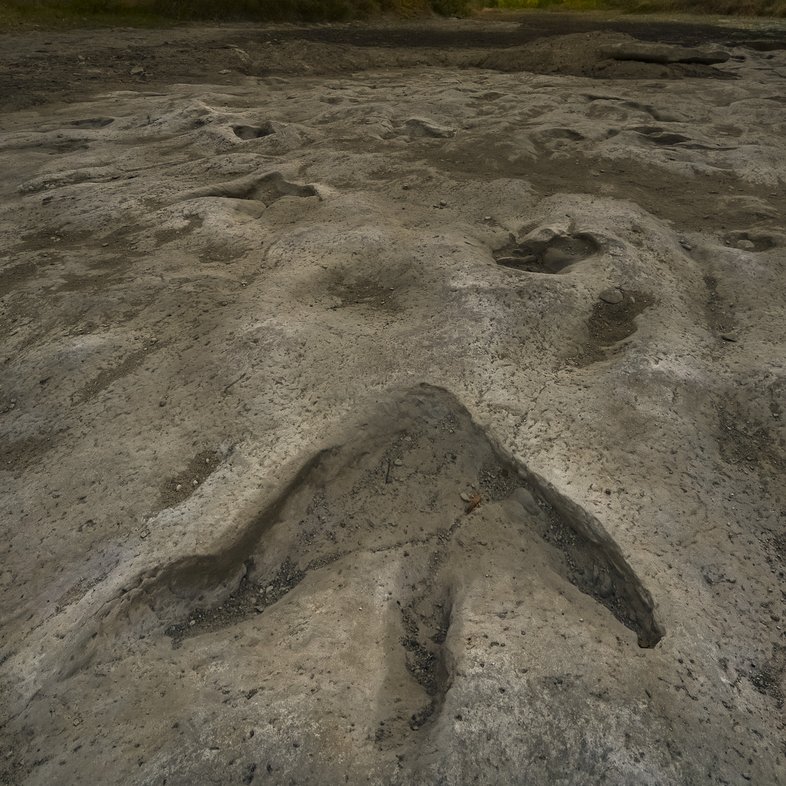 A fossilized foot print at Dino Valley