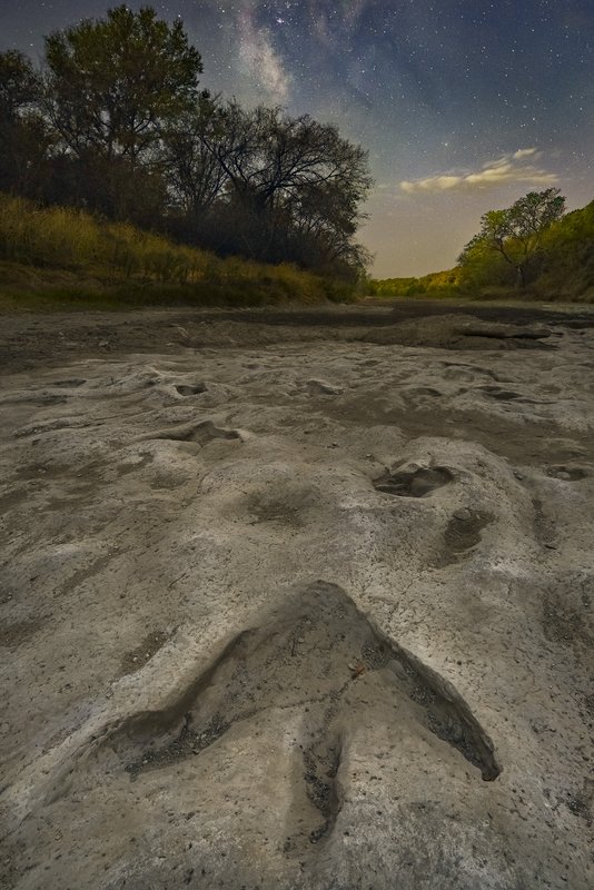 A fossilized foot print at Dino Valley