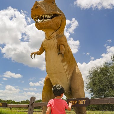 A boy standing in front of a T-Rex dinosaur statue