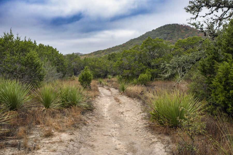 The Wilderness trail at Hill Country State Natural area.
