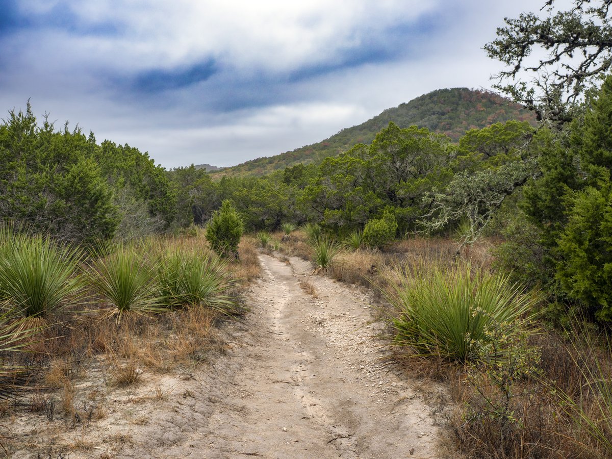 The Wilderness trail at Hill Country State Natural area.