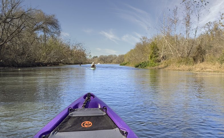 Front of a purple paddle boat on the river.