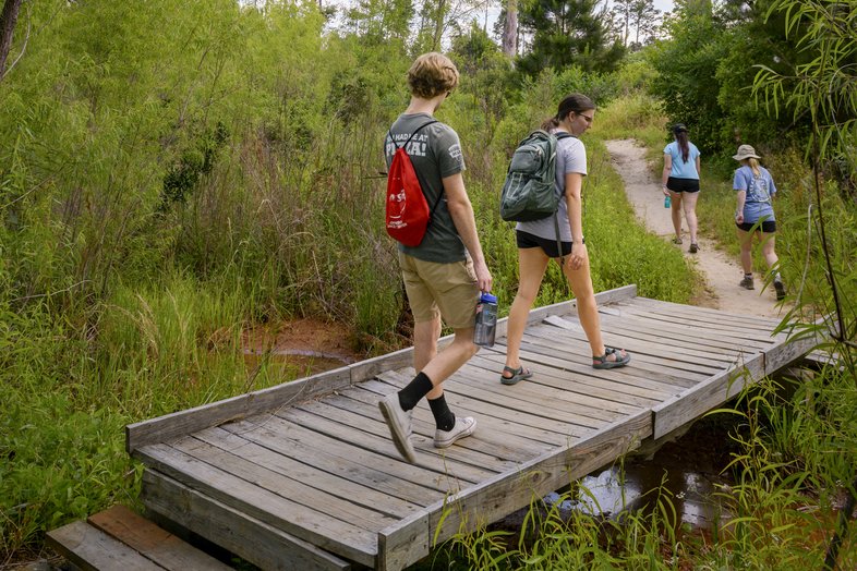 Hiker on a trail bridge.