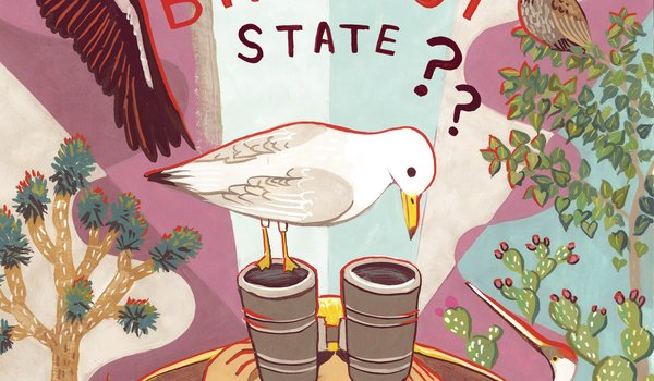 An illustration of a girl looking through binoculars surrounded by different types of birds with the text "the birdiest state??" above her head