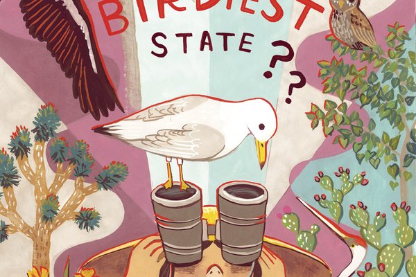 An illustration of a girl looking through binoculars surrounded by different types of birds with the text "the birdiest state??" above her head