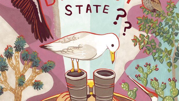 An illustration of a girl looking through binoculars surrounded by different types of birds with the text "the birdiest state??" above her head