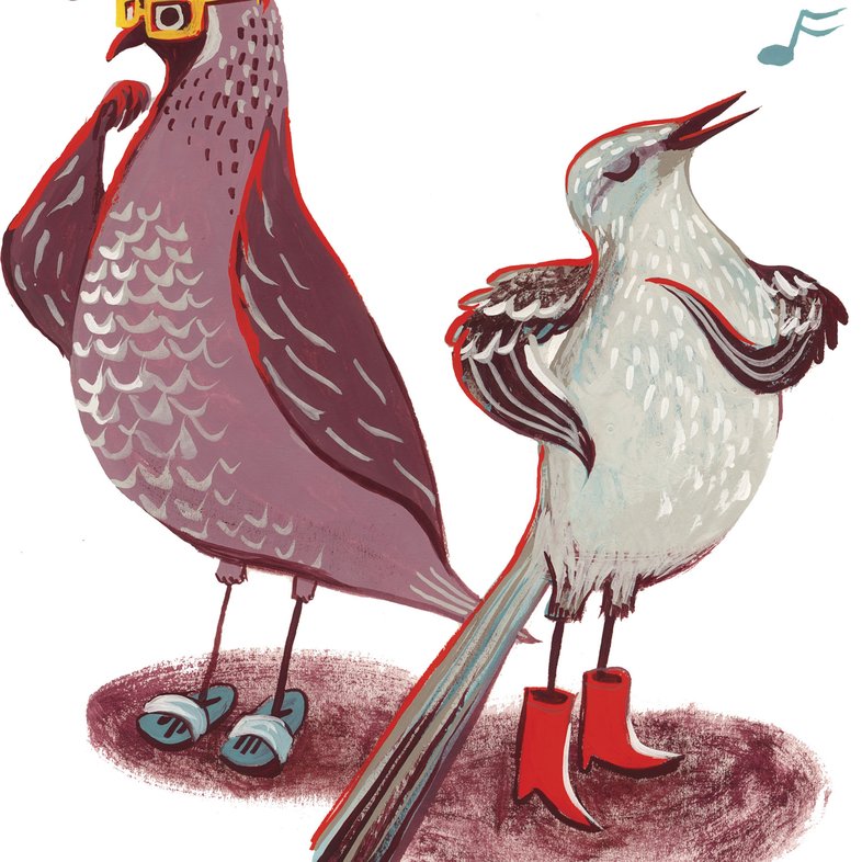 An illustration of a gambles quail wearing yellow glasses and blue sandals next to a northern mockingbird singing while wearing red cowboy boots