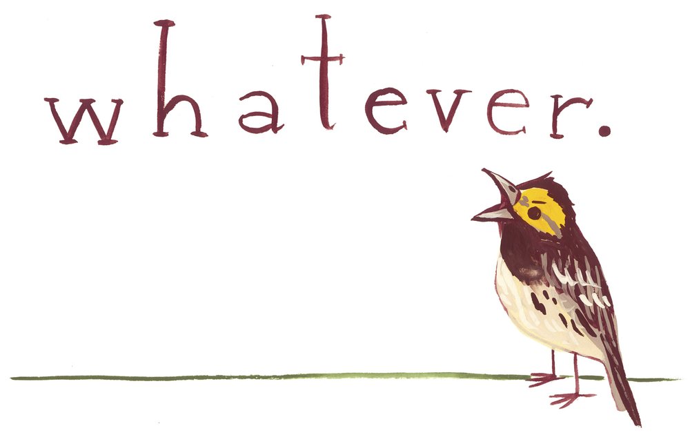 A illustration of a golden cheeked warble sitting on a line with the text "whatever." printed above it
