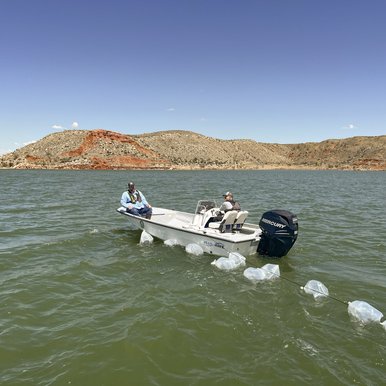 A white boat pulling a line with white bags on the lake