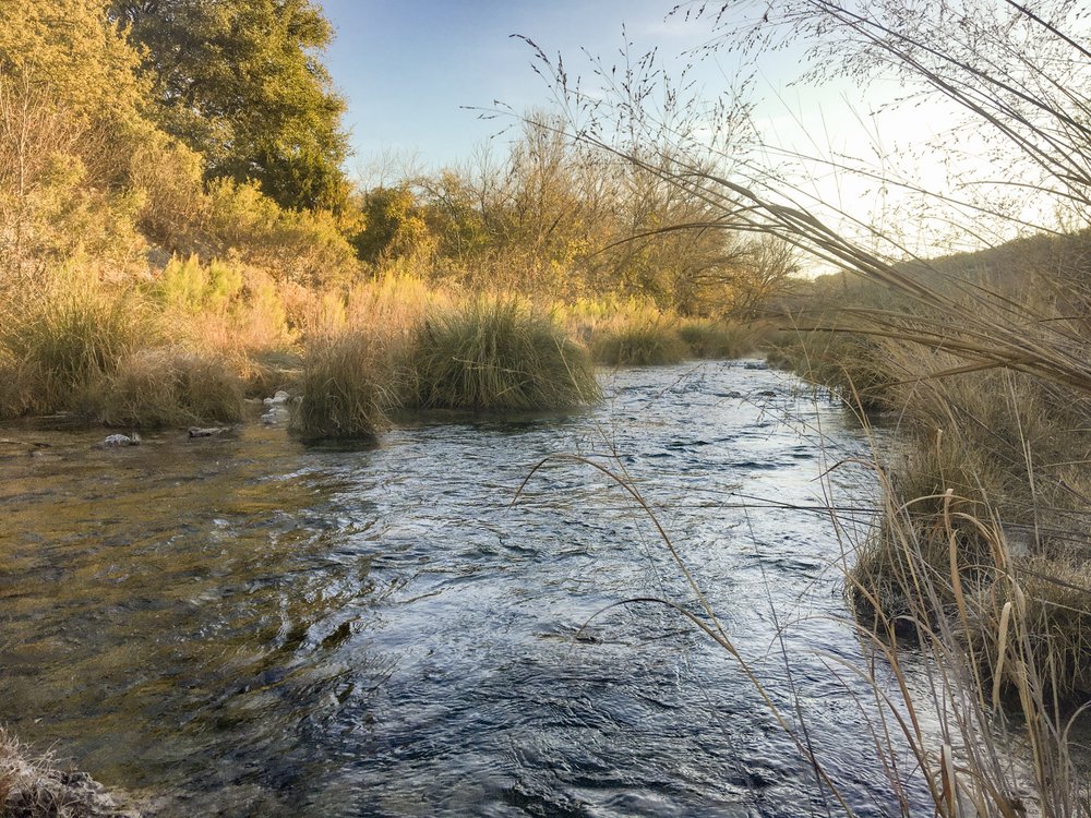 Water running through tall grass