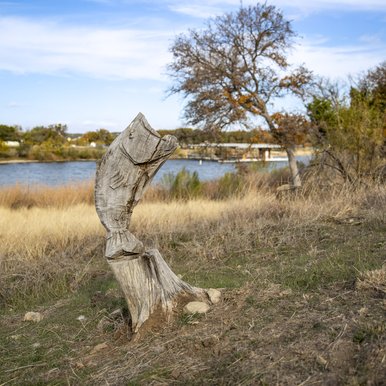 A large mouth bass statue carved out of an old tree trunk