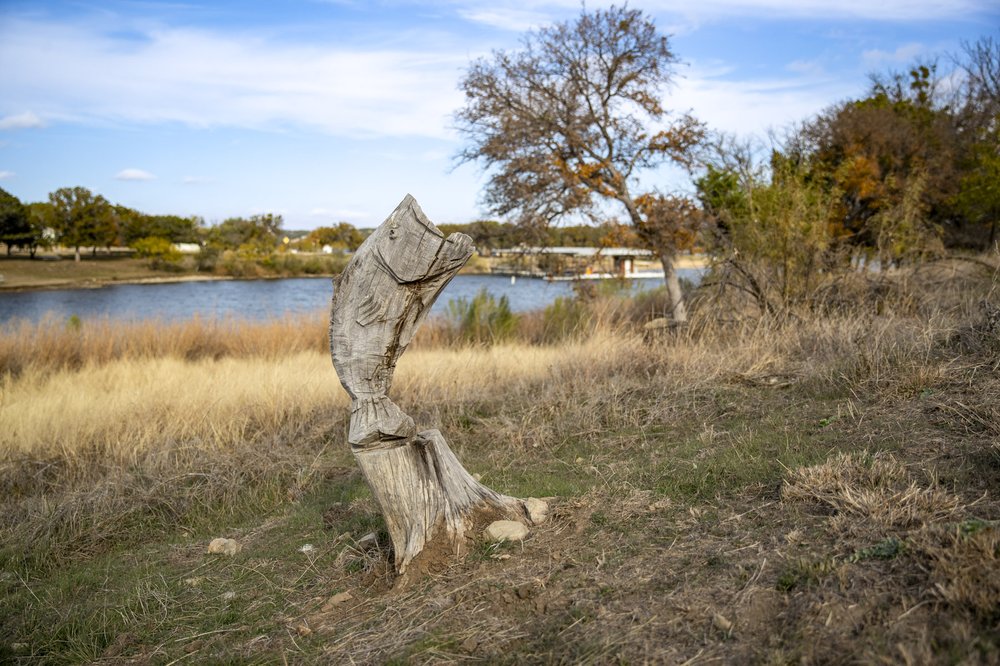 A large mouth bass statue carved out of an old tree trunk
