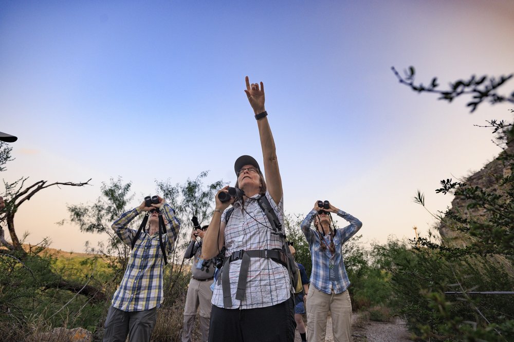 A group of people look through binoculars while one lady points to something off in the distance