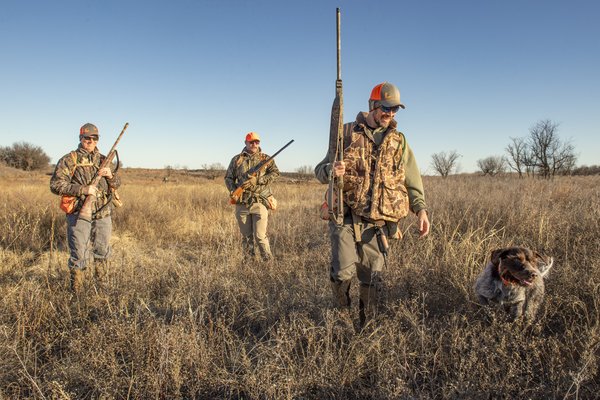 Hunters and a dog walking through grass.