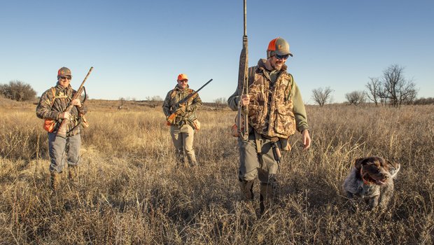 Hunters and a dog walking through grass.