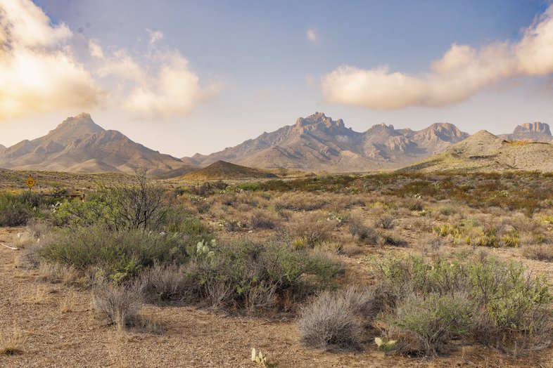 A view of the Chisos Mountains.