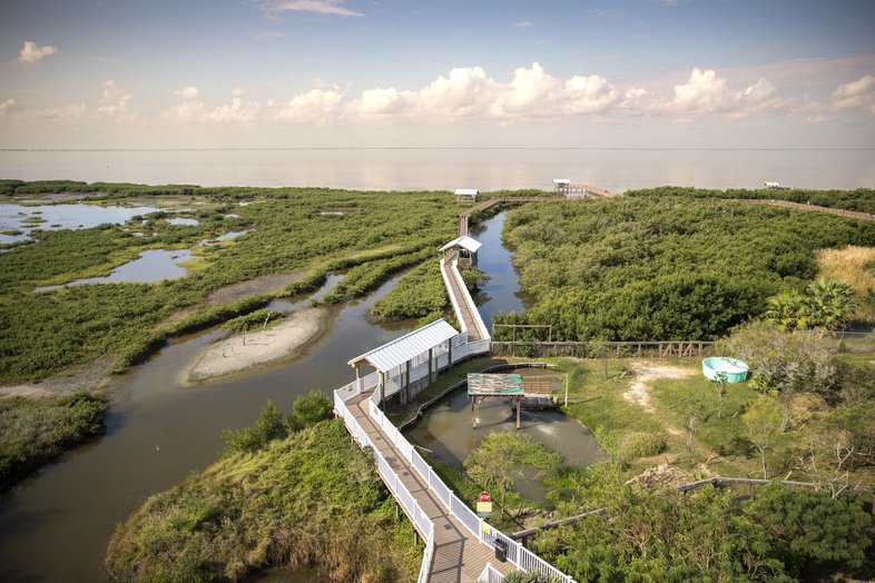 South Padre Island Birding And Nature Center walkway through the marsh.