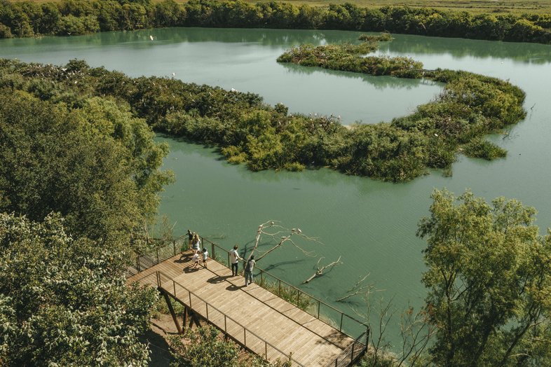 People on a walkway observing birds on a wooded island