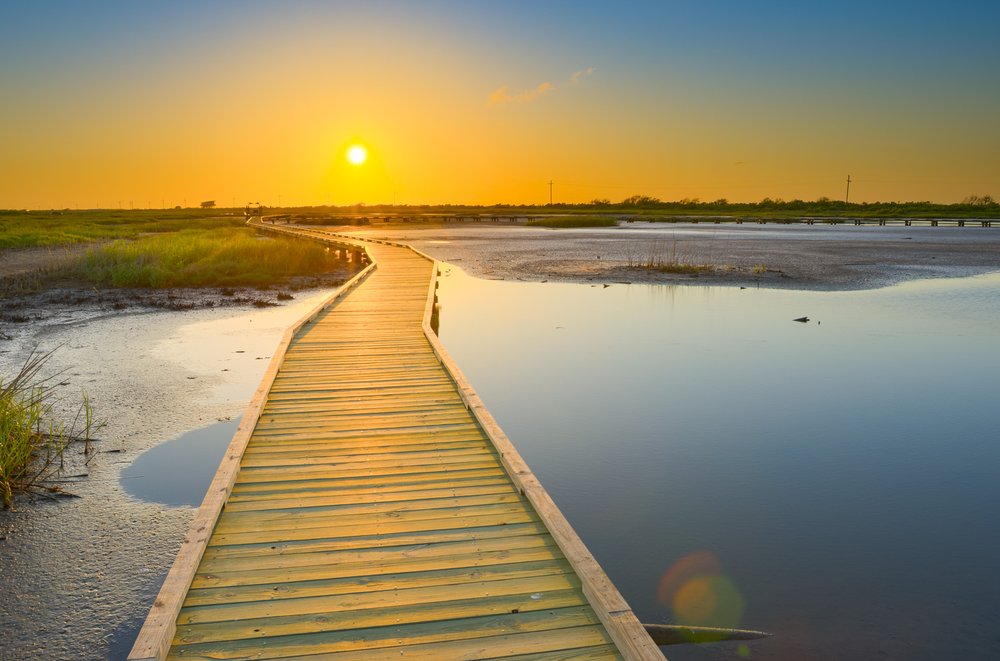 A boardwalk trail leading to a marsh.