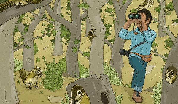 Illustration of birds in trees including one on the head of a birder.