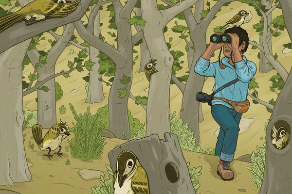 Illustration of birds in trees including one on the head of a birder.