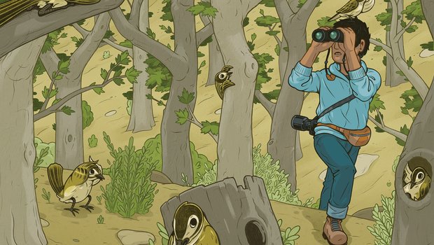 Illustration of birds in trees including one on the head of a birder.