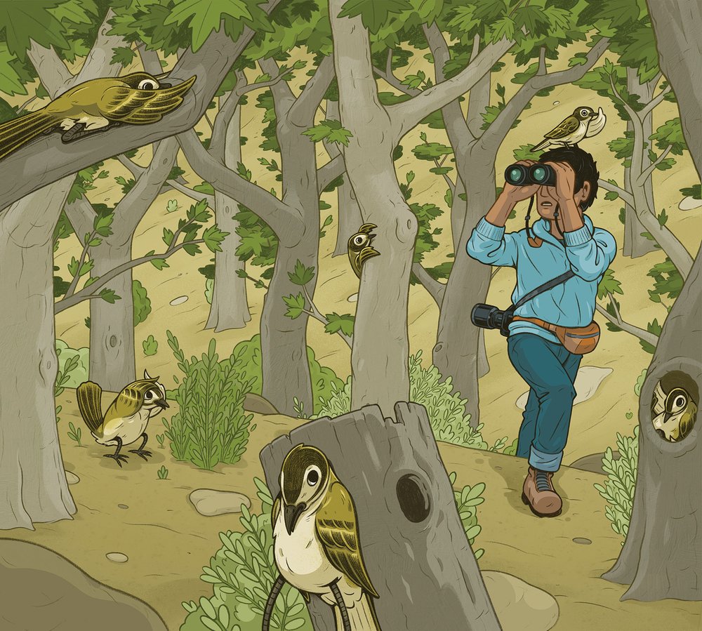 Illustration of birds in trees including one on the head of a birder.