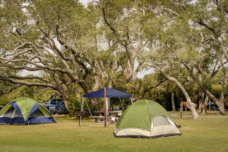 Tents in a wooded camping area.