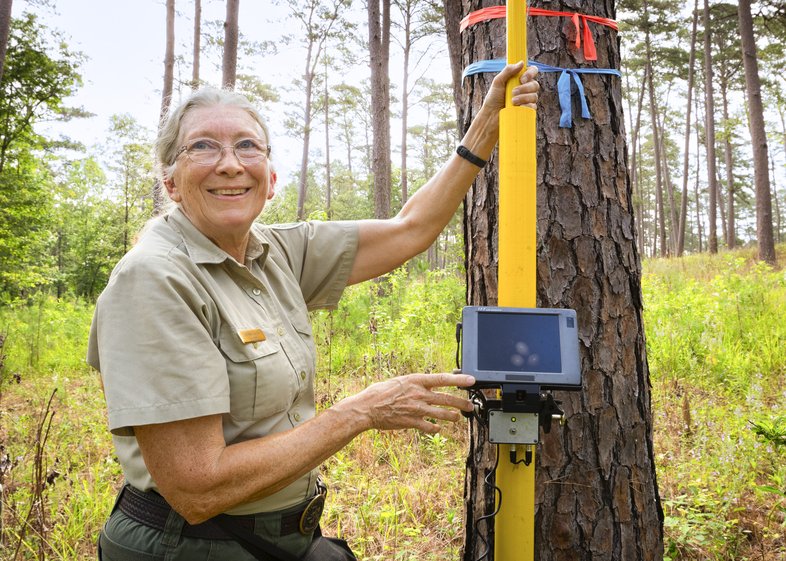 A person looking for eggs in a nest using a peeper scope monitor.